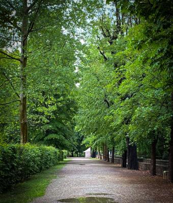 viale-giardini-reali