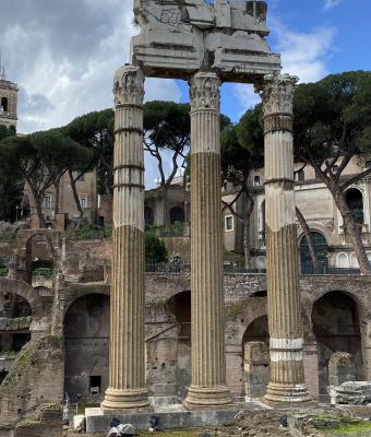 fori-imperiali-colonne