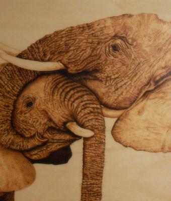 abbraccio-elefantesco