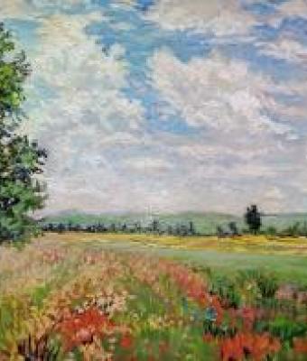 ispirato-a-monet-campagna-con