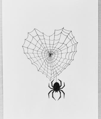 spider