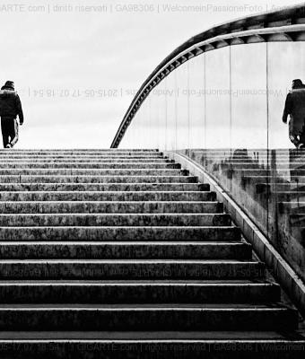 ando-fuchs