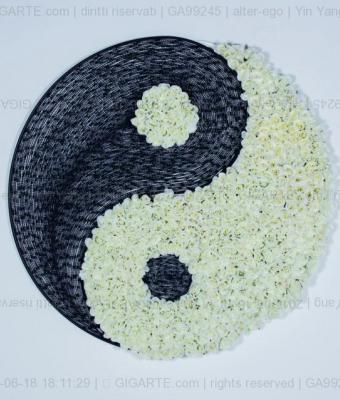 yin-yang