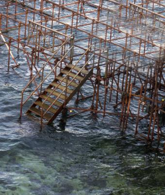 the-marine-scaffolding