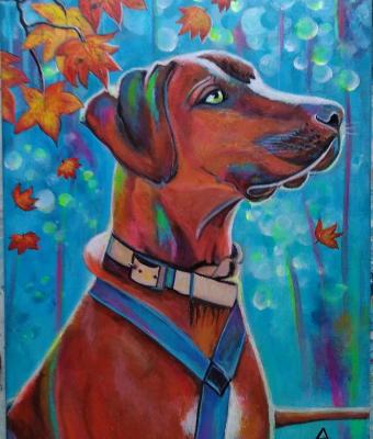 rhodesian-ridgeback