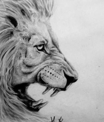 lion