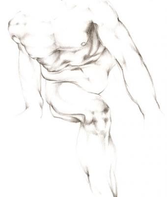 torso