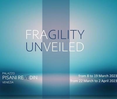 fragility-unveiled