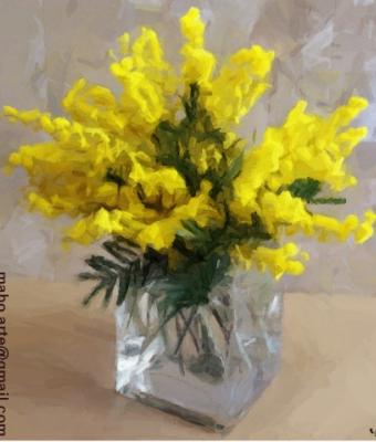 le-mimose-flowers-collection