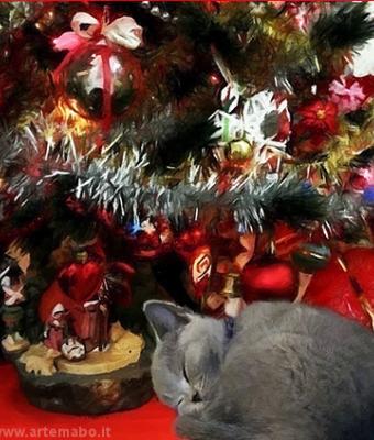 cat-at-christmas-family-coll