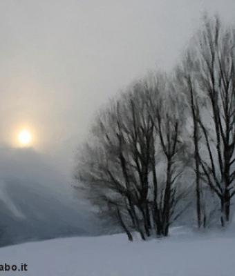 snow-in-the-hills-nature-col