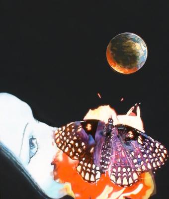 a-butterfly-on-the-moon