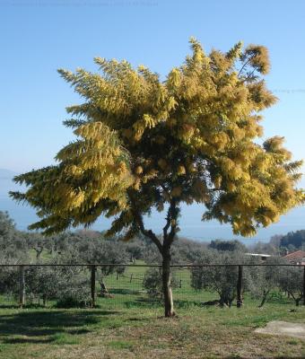 sullo-splendido-lago-di-bracci