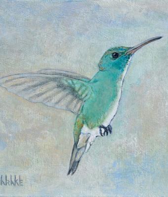 colibri