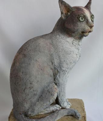 il-gatto