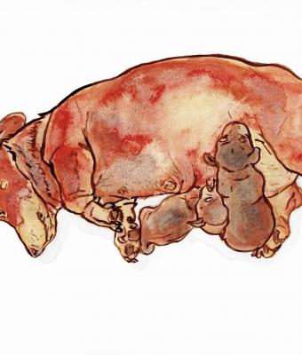 dachshund-teckel-maternityink