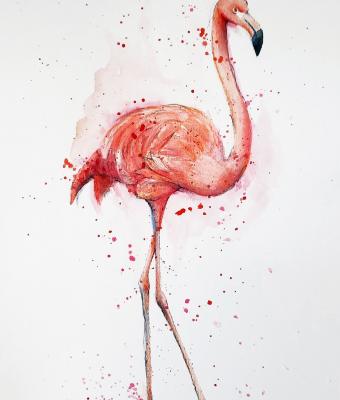 flamingo-1