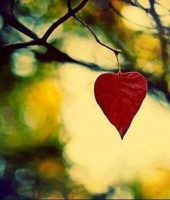 cuore-in-autunno