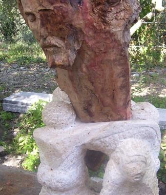 segni-nel-legno-d-ulivo