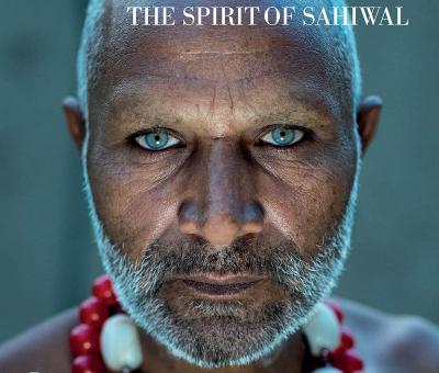 presentazione-a-milano-alla-fondazione-ferr-del-volume-fotografico-the-spirit-of-sahiwal