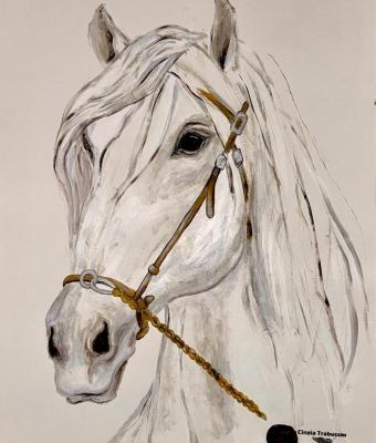 white-horse