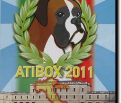 boxer-paintings-by-cinzia-defendi-guerrini-for-atibox-2011-28-e-29-maggio-2011-villa-farsetti-santa-maria-di-sala-venezia