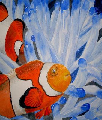 anemone-fish