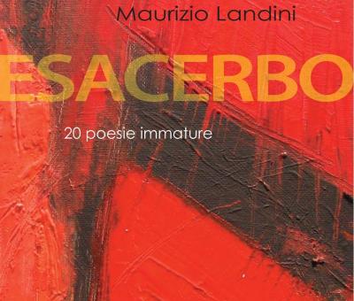 maurizio-landini-esacerbo