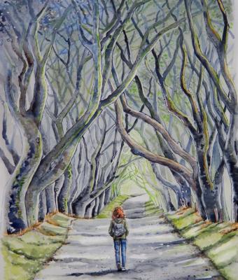 among-the-dark-hedges