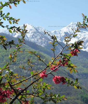 spring-time-with-snow