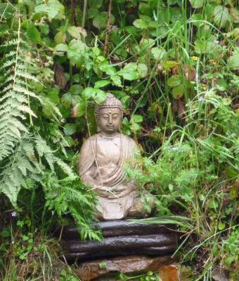 the-ecofriendly-buddha