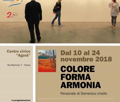 domenico-ursillo-colore-forma-armonia