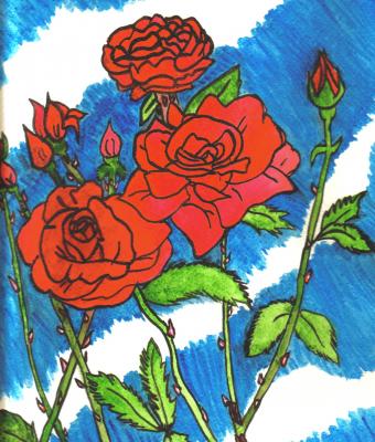 rose-rosse