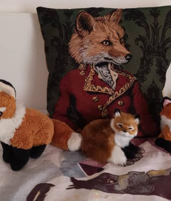 my-collection-of-foxes