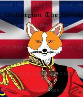 duke-of-wellington-welsh-corgi