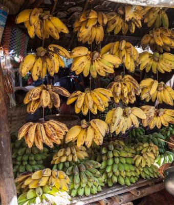 mercato-in-myanmar