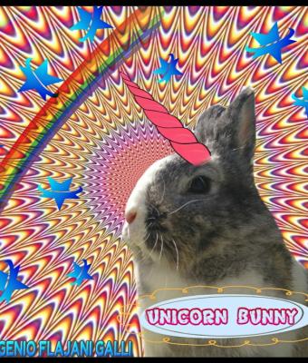 unicorn-bunny