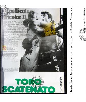 toro-scatenato