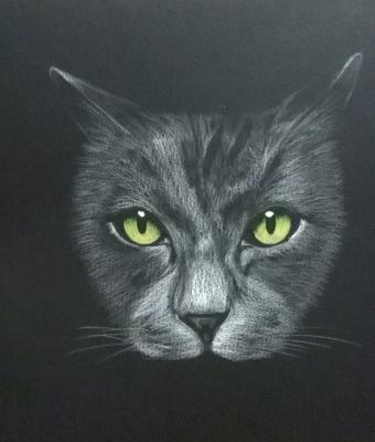 il-gatto-notturno