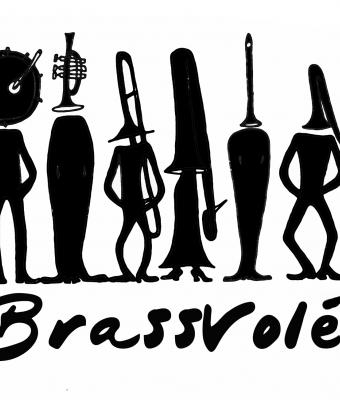 logo-brassvol