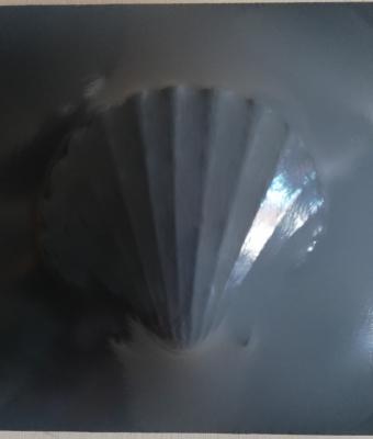 grey-pecten-250