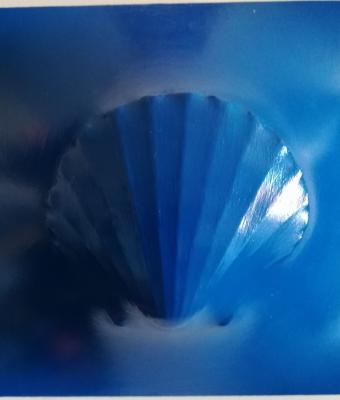 blue-pecten-320