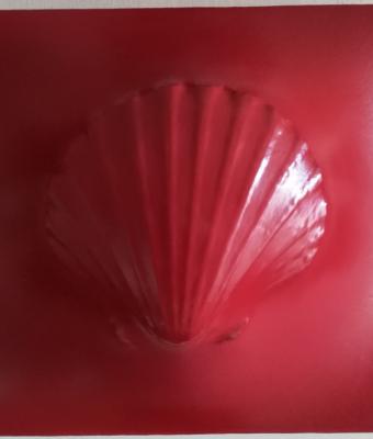 red-pecten-130