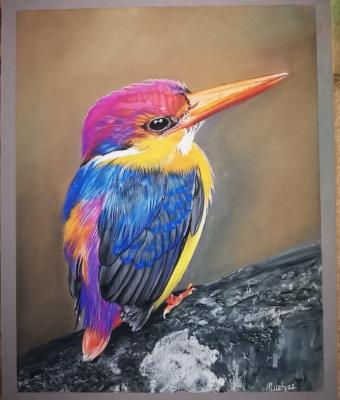 oriental-dwarf-kingfisher