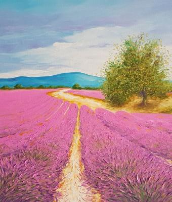 campo-di-lavanda