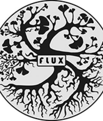 flux-mutazione-continua