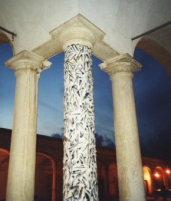 colonna-invertebrale