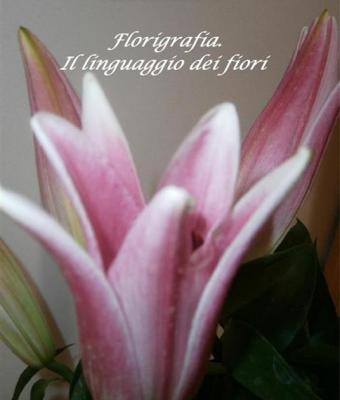 florigrafia-il-linguaggio-dei-fiori