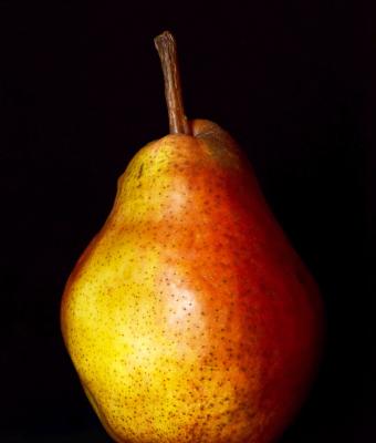 pear-harmonium