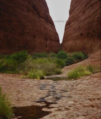 lucio-briganti-kata-tjuta-the